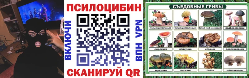 Галлюциногенные грибы Cubensis как найти закладки Мариинск